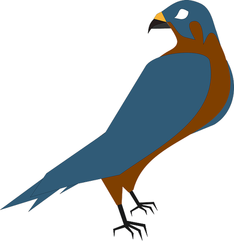 Scary Bird PNG