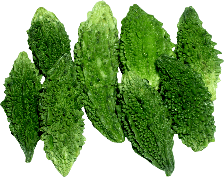 Bitter Gourd PNG