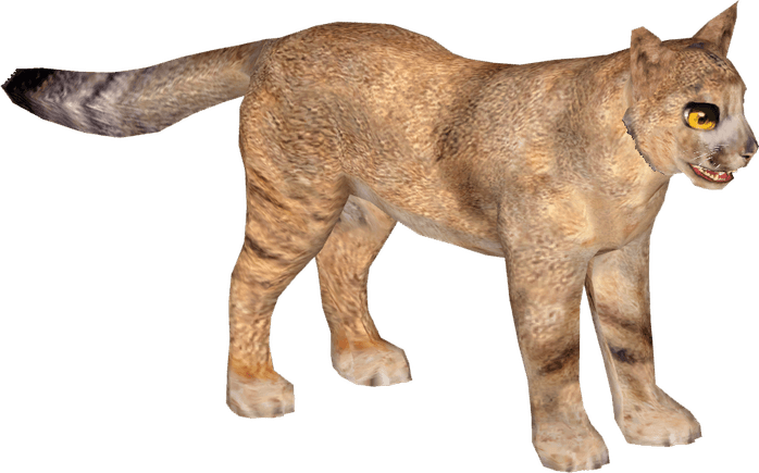 Jungle Cat PNG