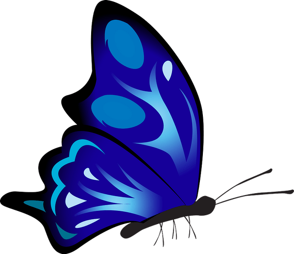 Flying Blue Butterfly PNG
