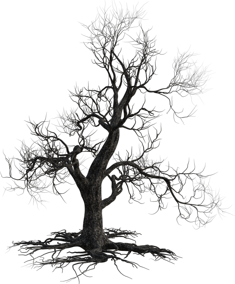 Night Tree PNG