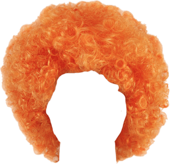 Wig PNG