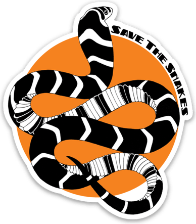 Kingsnakes PNG