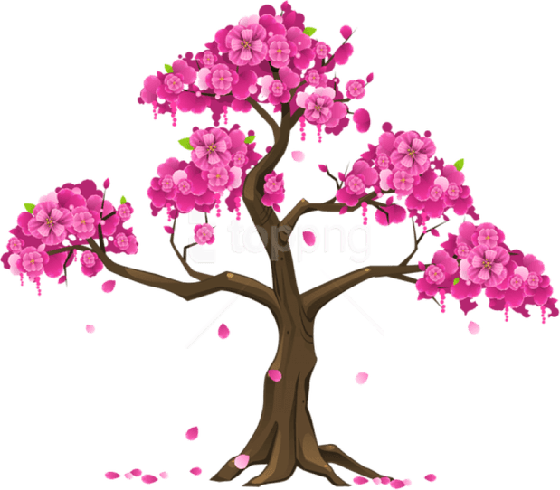 Cherry Tree PNG