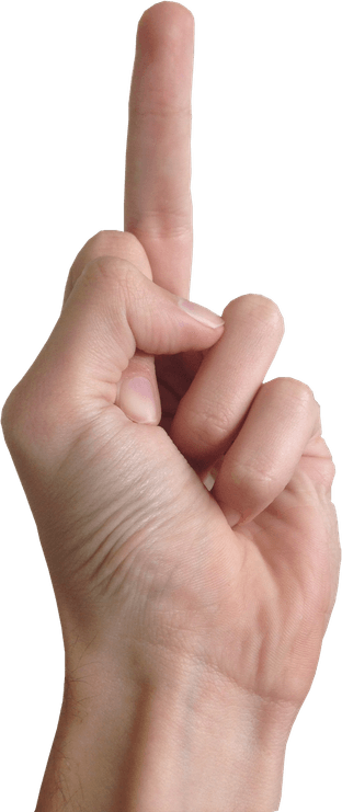 Fingers PNG