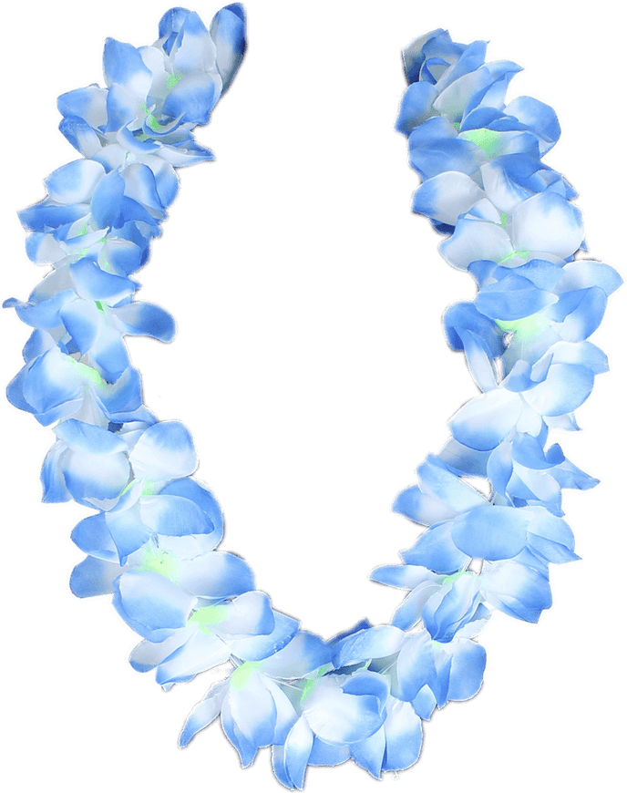 Necklace PNG