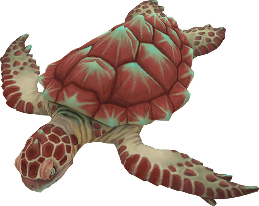 Sea Turtle PNG