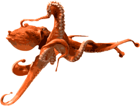 Octopus PNG