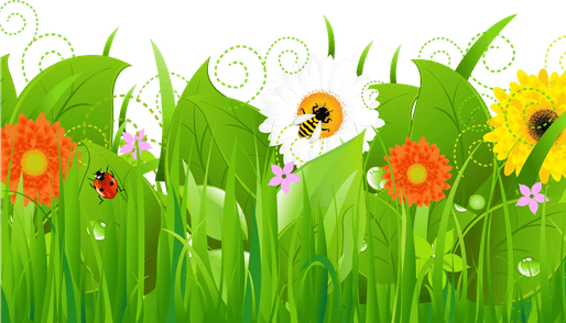 Flower Garden PNG
