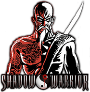 Shadow Warrior PNG