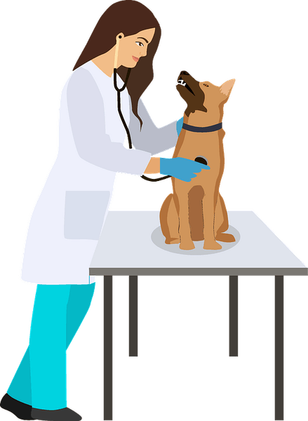 Veterinarian PNG