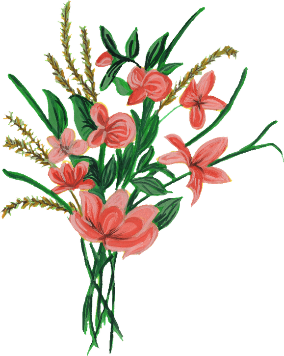 Gladiolus PNG