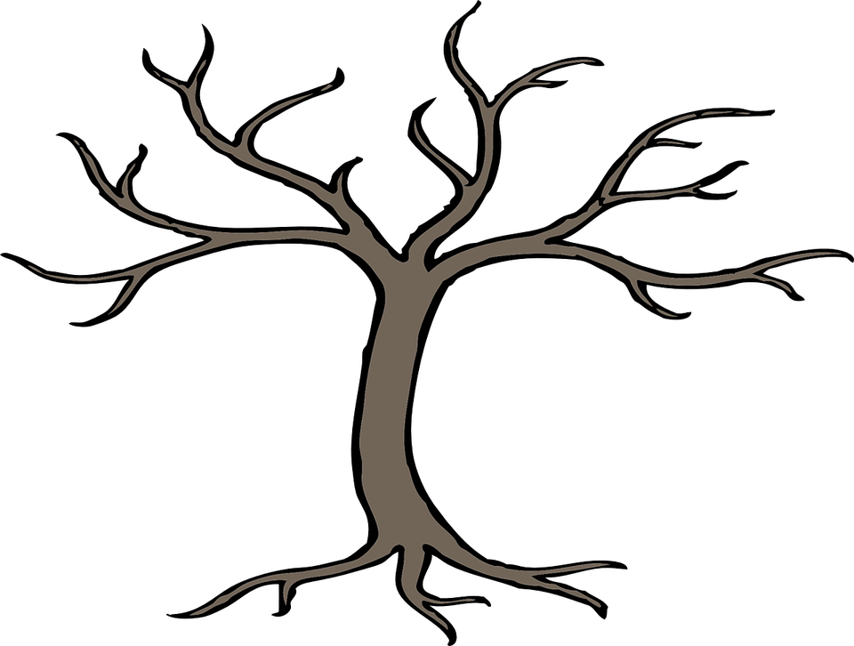 Root PNG