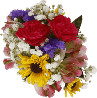 Babys Breath Flower PNG