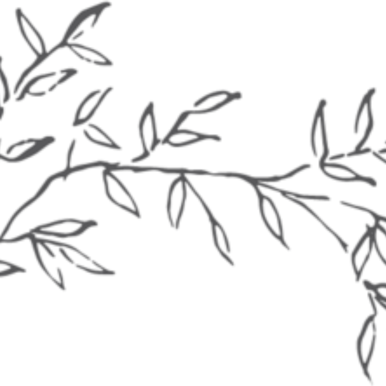 Plant Aesthetic Theme PNG