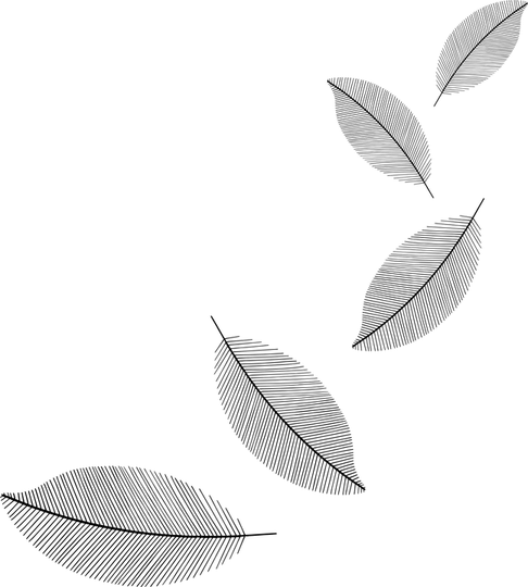 Minimalist Aesthetic Theme PNG