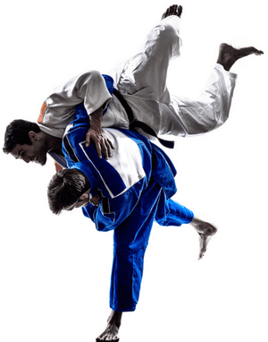 Grappling PNG
