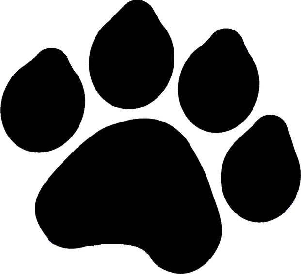 Paw Print PNG