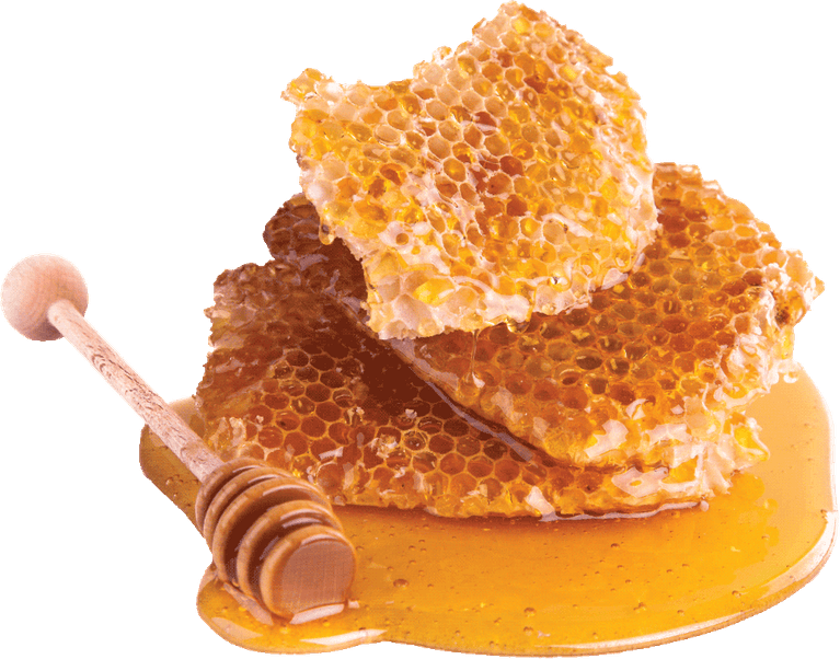 Bee Honey PNG