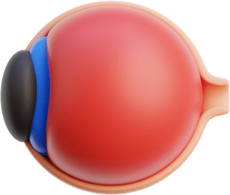 3d Eyeball PNG