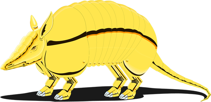 Armadillo PNG