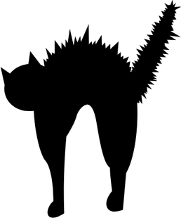 Scary Cat PNG