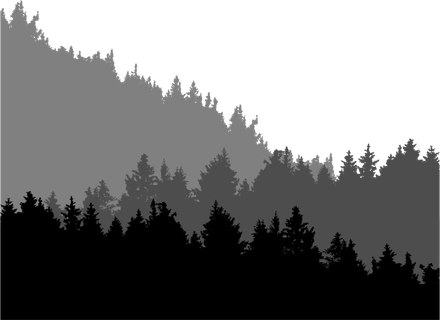 Forest Tree PNG