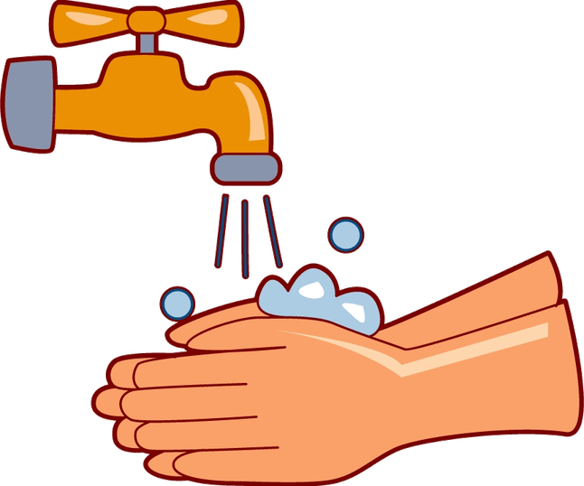 Wash Hand PNG