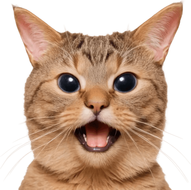Surprised Cat PNG