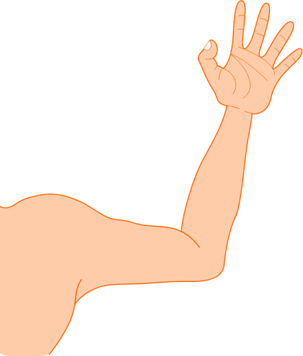 Cartoon Arms PNG
