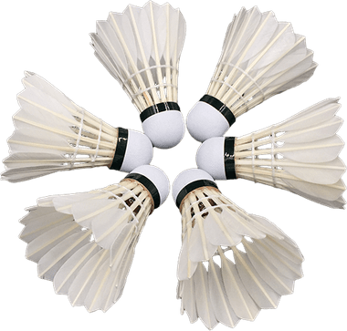 Shuttlecock PNG