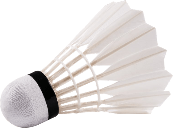 Shuttlecock PNG