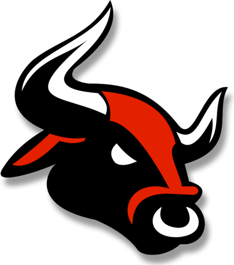 Raging Bull PNG