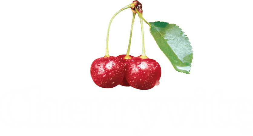 Cherry Aesthetic Theme PNG