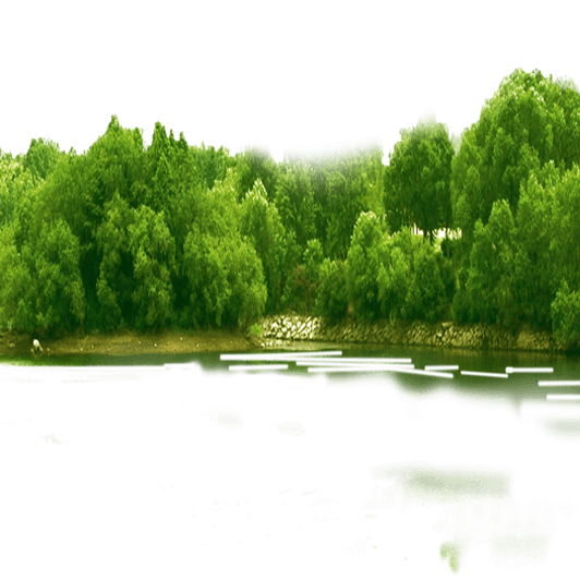 Forest PNG