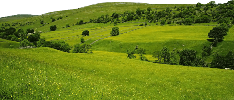 Nature PNG