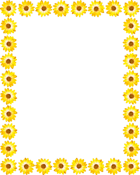 Sunflower Border PNG