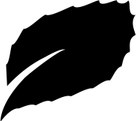 Mint Leaf PNG