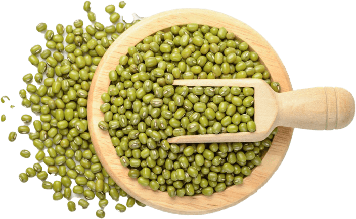 Mung Bean PNG