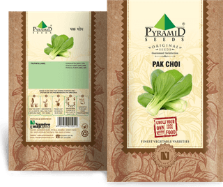 Bok Choy PNG
