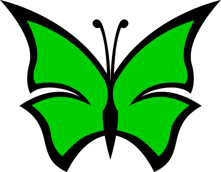 Green Butterfly PNG