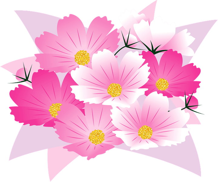 Pink Cosmos Flower PNG