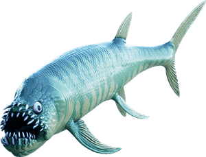 Funny Fish PNG