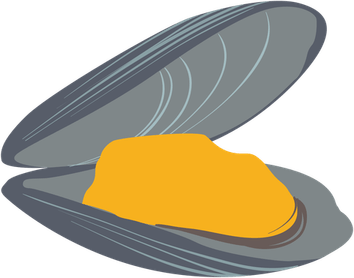 Clams PNG