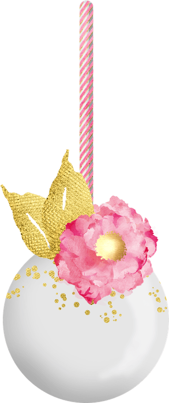 Cake Pop PNG