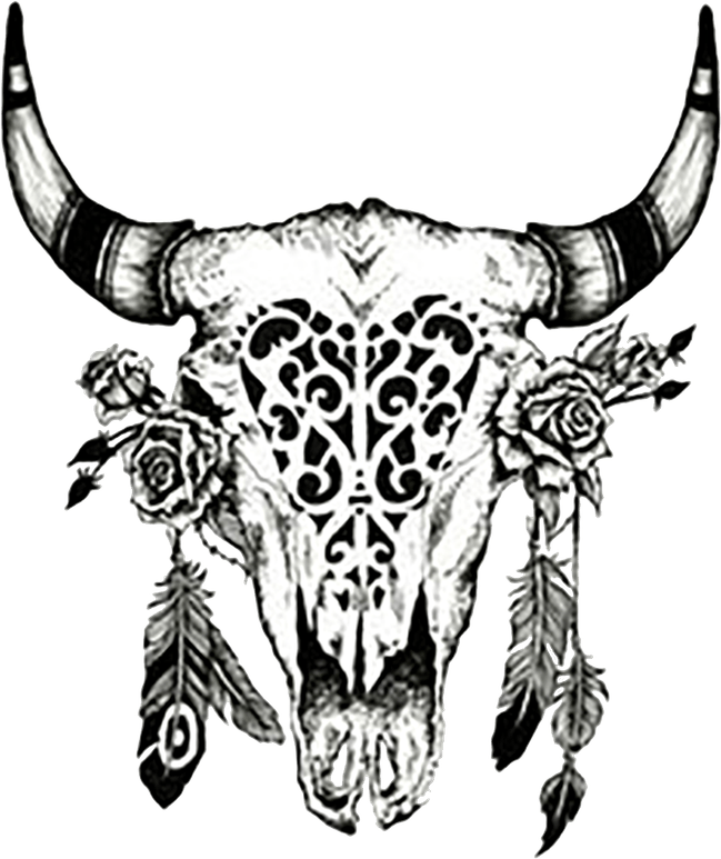 Longhorn Skull PNG