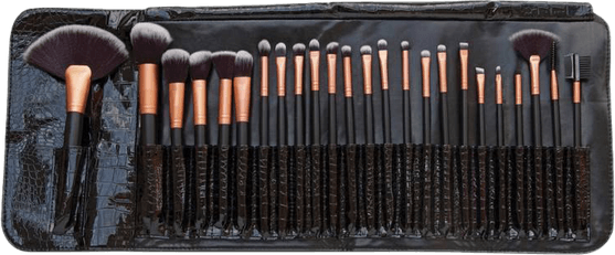 Makeup Brush PNG