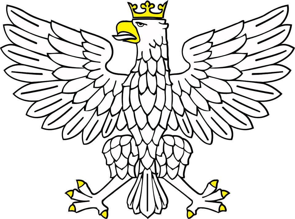 Crowned Eagle PNG