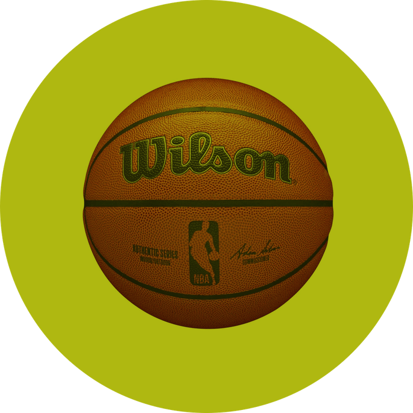 Wilson Evolution Basketball PNG