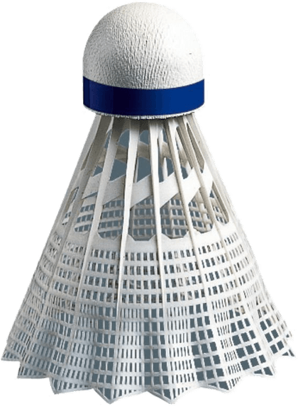 Birdie PNG